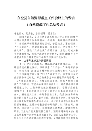 在全县自然资源重点工作会议上的发言（自然资源工作总结发言）