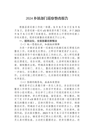 2024乡镇部门巡察整改报告
