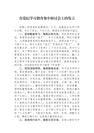 在党纪学习教育集中研讨会上的发言