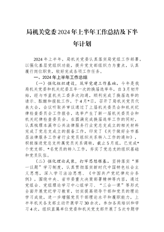 局机关党委2024年上半年工作总结及下半年计划