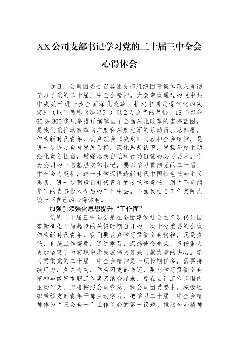 XX公司支部书记学习党的二十届三中全会心得体会_第1页