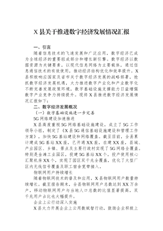 X县关于推进数字经济发展情况汇报