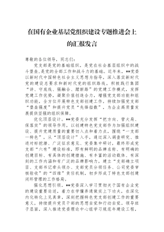 在国有企业基层党组织建设专题推进会上的汇报发言
