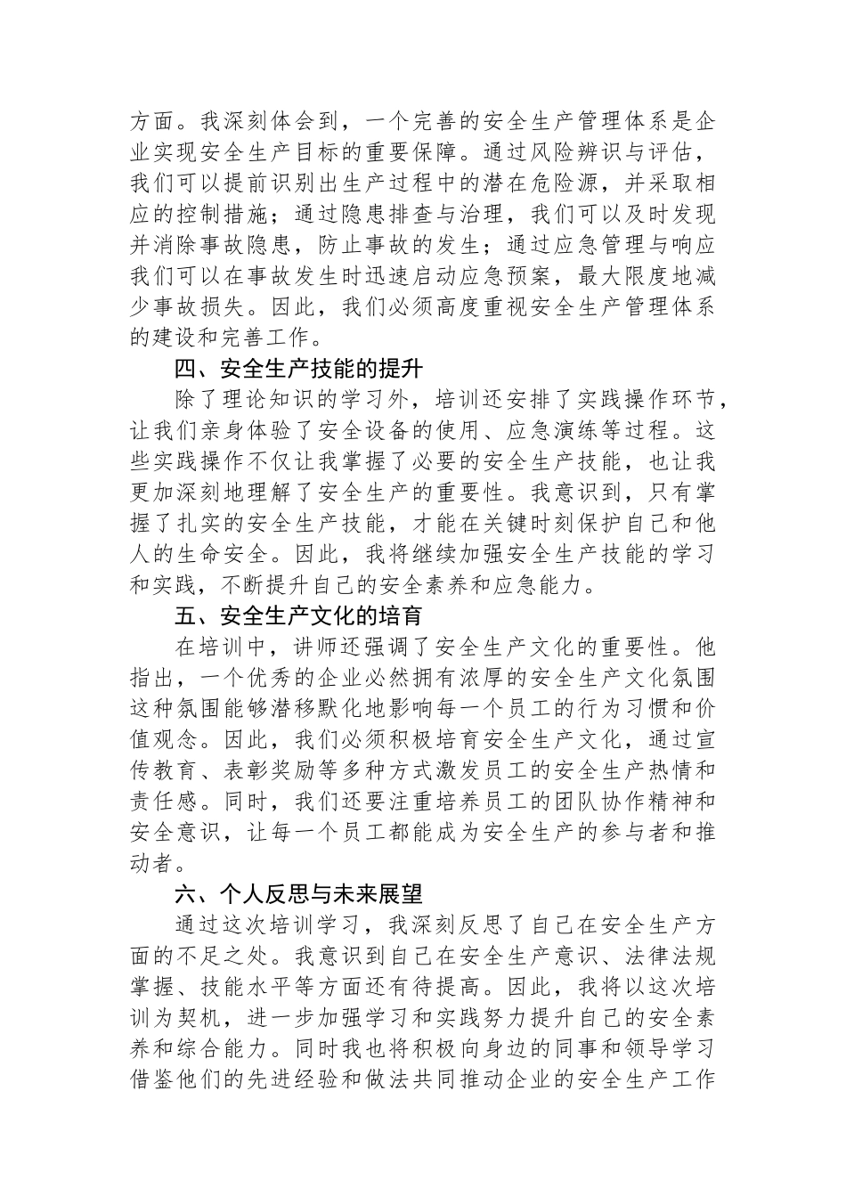 参加安全生产主体责任培训学习心得体会_第2页