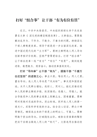 打好“组合拳” 让干部“有为有位有畏”