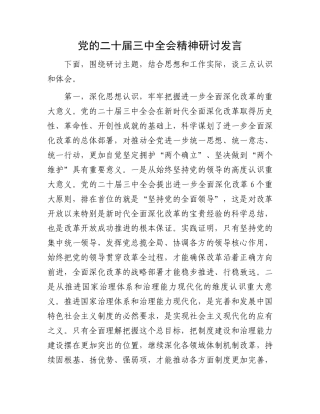 党的二十届三中全会精神研讨发言