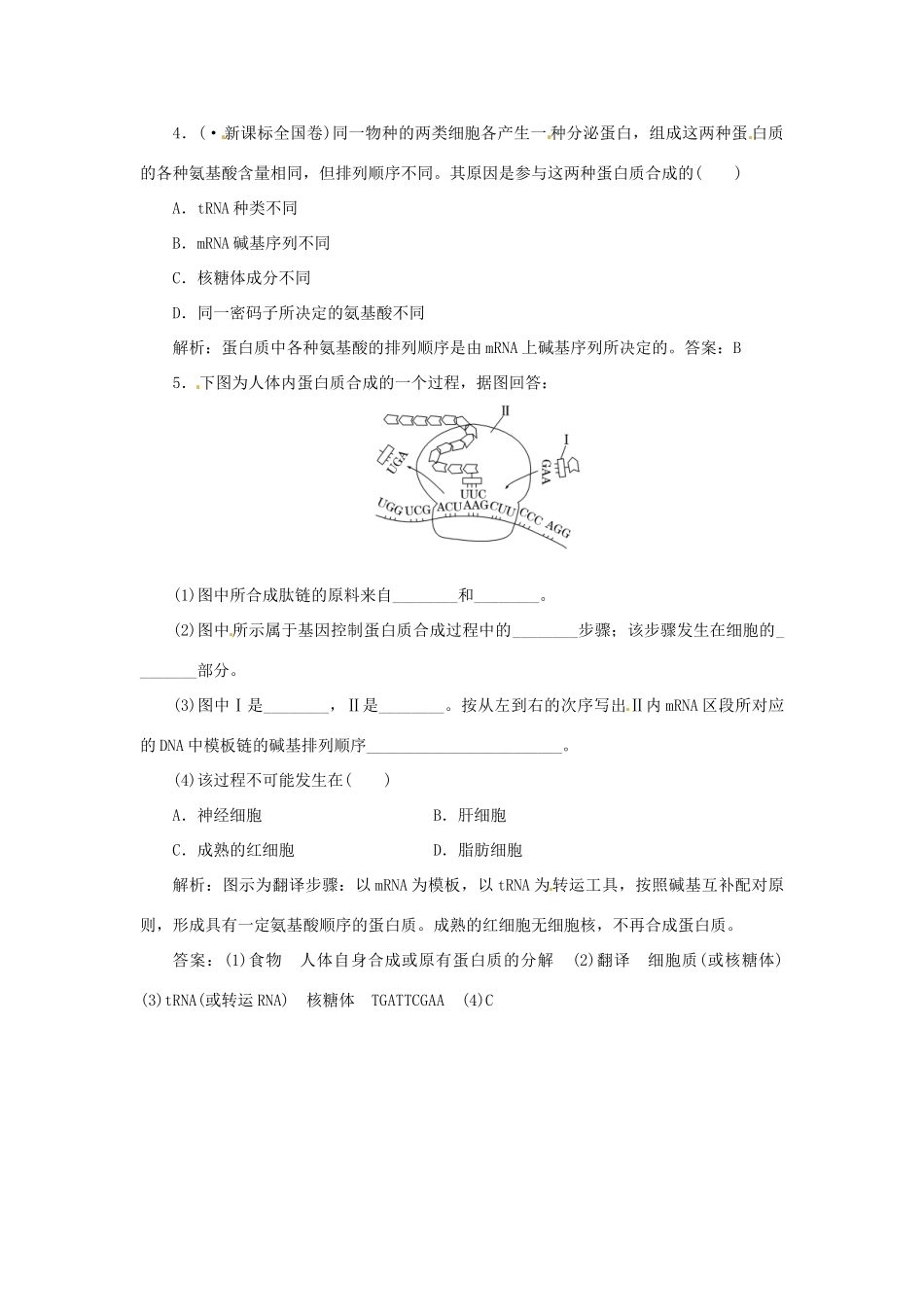 高中生物 第四章 第三节 基因控制蛋白质的合成随堂演练1 苏教版必修2_第2页