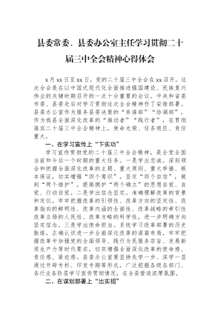 县委常委、县委办公室主任学习贯彻二十届三中全会精神心得体会