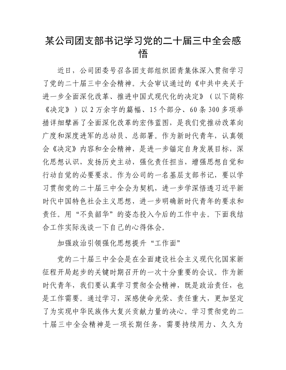 某公司团支部书记学习党的二十届三中全会感悟_第1页