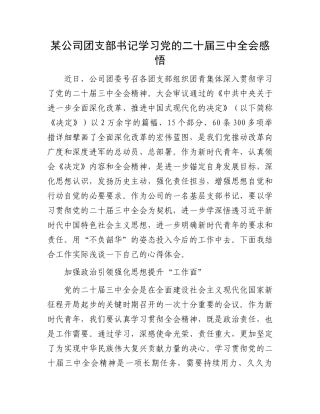 某公司团支部书记学习党的二十届三中全会感悟