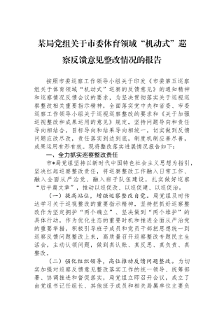 某局党组关于市委体育领域“机动式”巡察反馈意见整改情况的报告