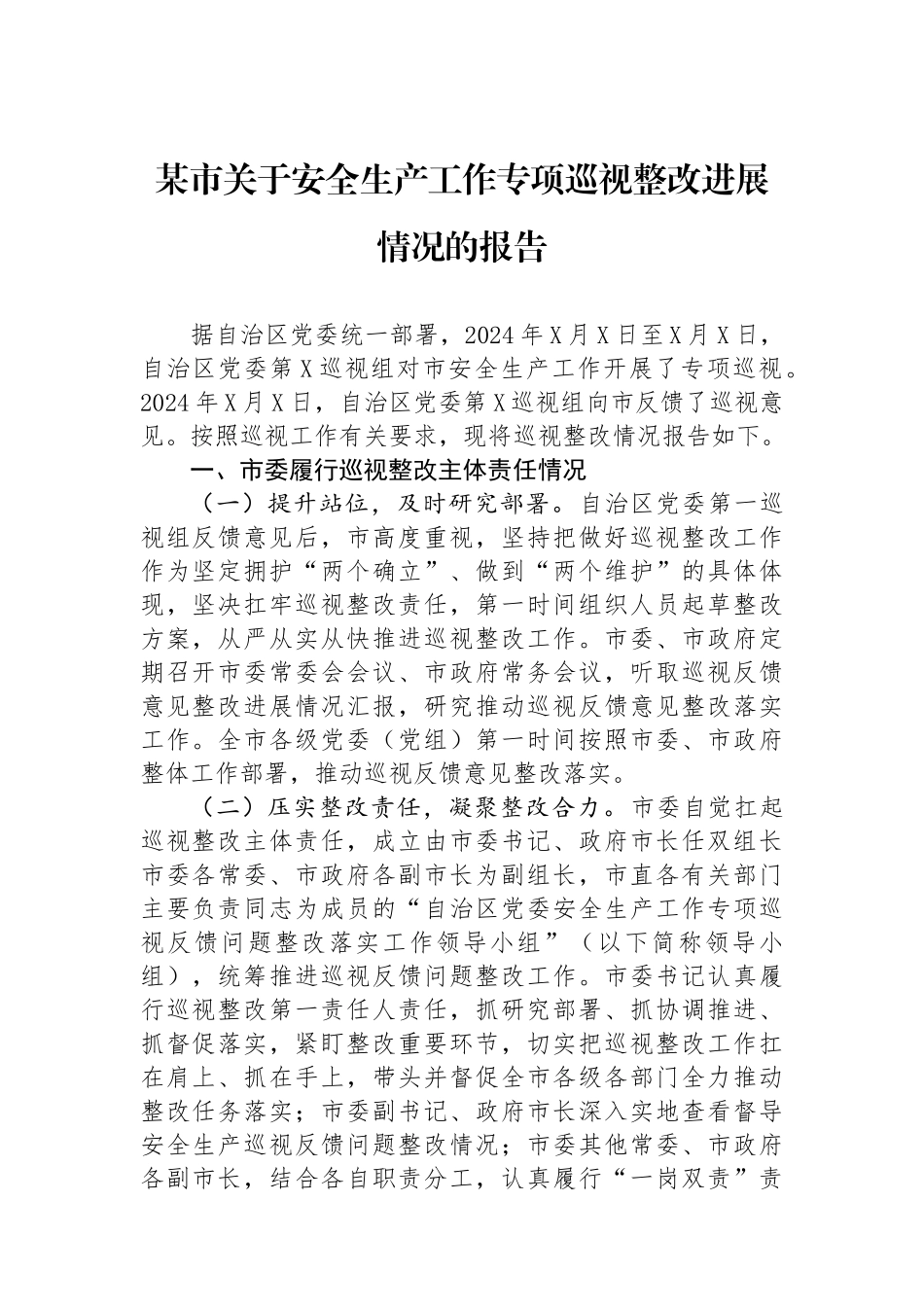 某市关于安全生产工作专项巡视整改进展情况的报告_第1页