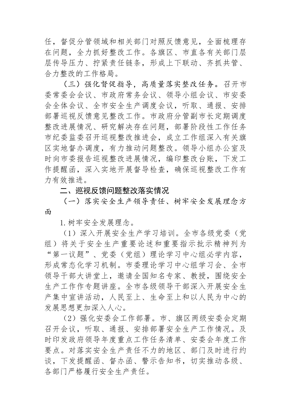 某市关于安全生产工作专项巡视整改进展情况的报告_第2页