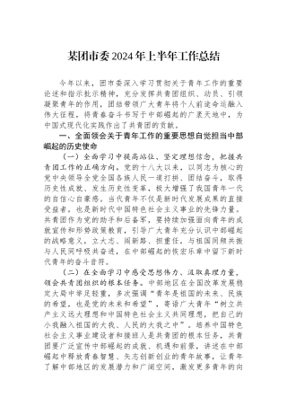 某团市委2024年上半年工作总结
