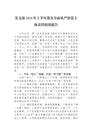 某支部2024年上半年落实全面从严治党主体责任情况报告