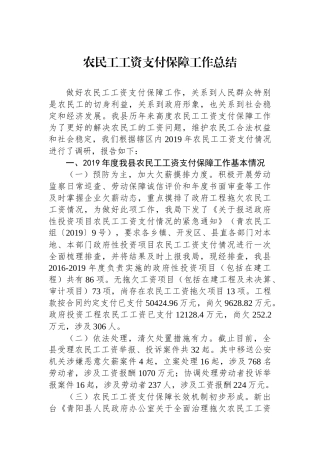 农民工工资支付保障工作总结