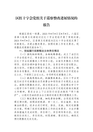 区红十字会党组关于巡察整改进展情况的报告
