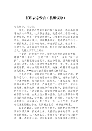任职表态发言（县级领导）