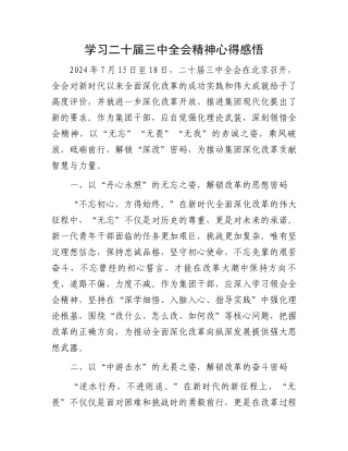 学习二十届三中全会精神心得感悟