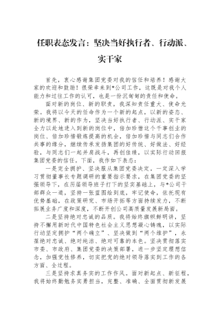 任职表态发言：坚决当好执行者、行动派、实干家