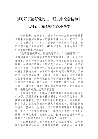 学习好贯彻好党的二十届三中全会精神 ——以钉钉子精神抓好改革落实