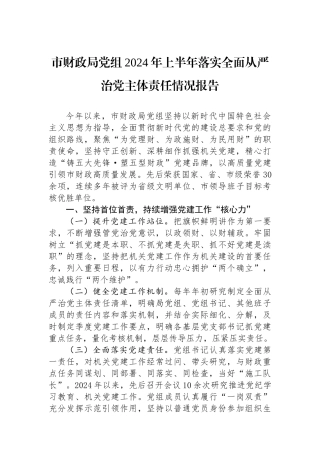 市财政局党组2024年上半年落实全面从严治党主体责任情况报告