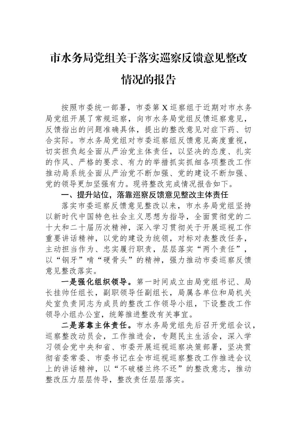 市水务局党组关于落实巡察反馈意见整改情况的报告_第1页