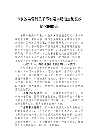 市水务局党组关于落实巡察反馈意见整改情况的报告