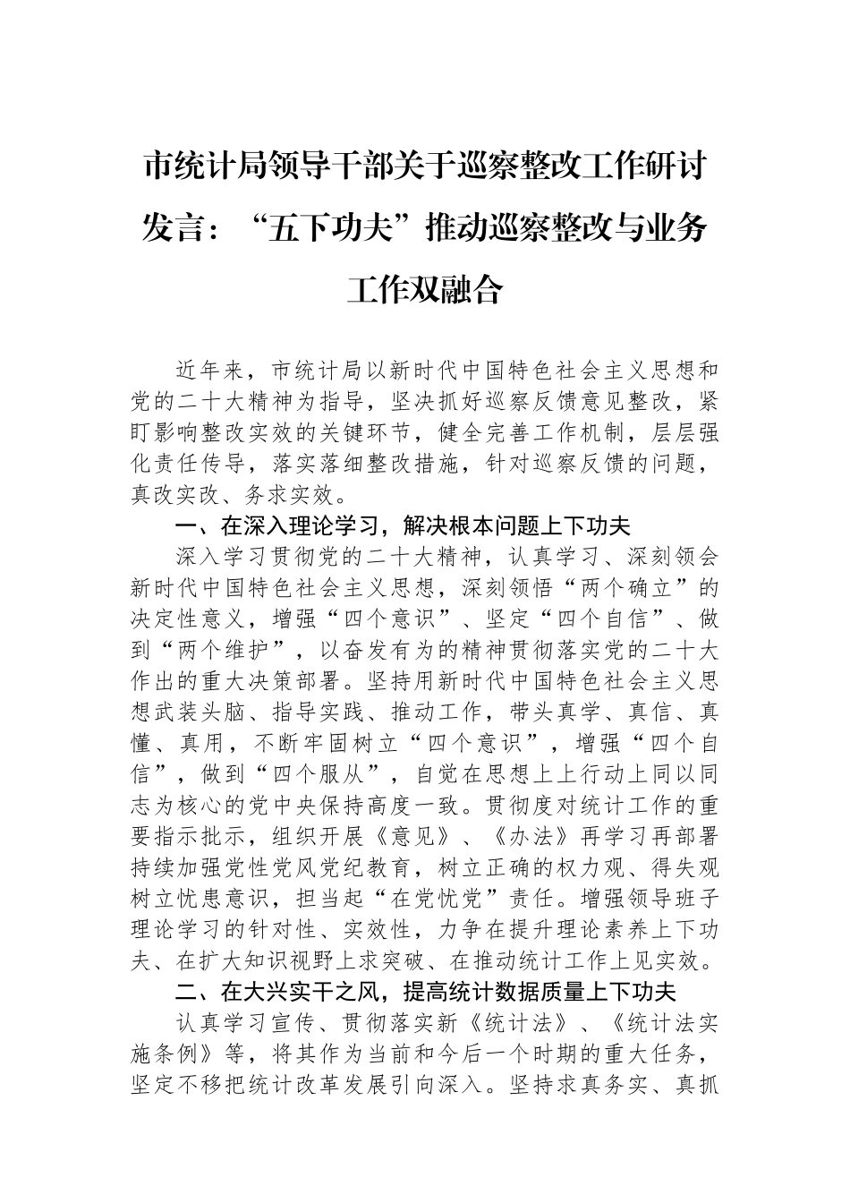 市统计局领导干部关于巡察整改工作研讨发言：“五下功夫”推动巡察整改与业务工作双融合_第1页