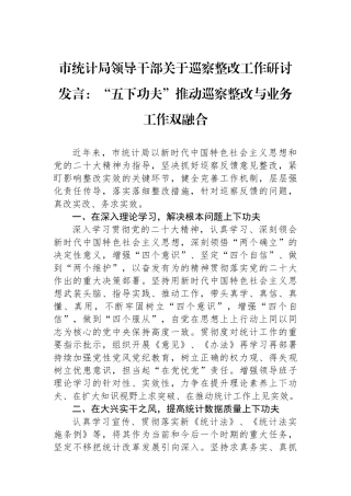 市统计局领导干部关于巡察整改工作研讨发言：“五下功夫”推动巡察整改与业务工作双融合