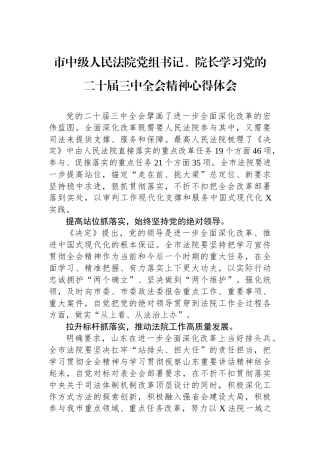 市中级人民法院党组书记、院长学习党的二十届三中全会精神心得体会