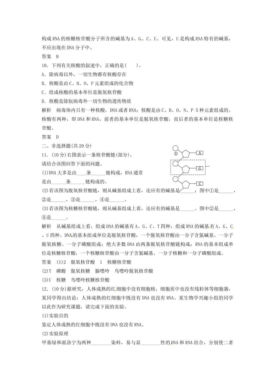 高中生物 2-2-1核酸的结构和功能同步练习 中图版必修1_第3页