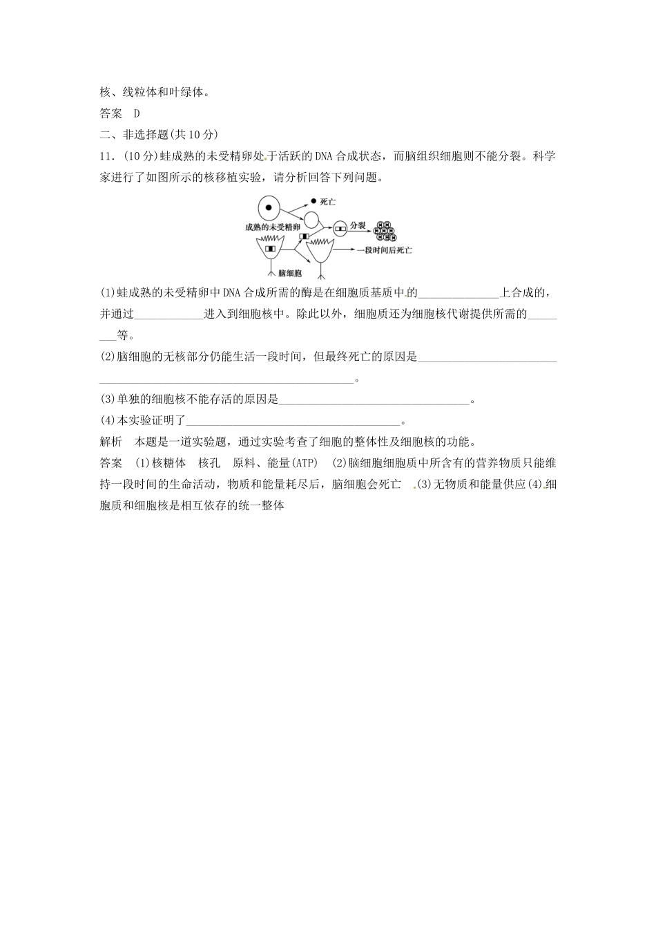 高中生物 2-2-2核酸与细胞核同步练习 中图版必修1_第3页