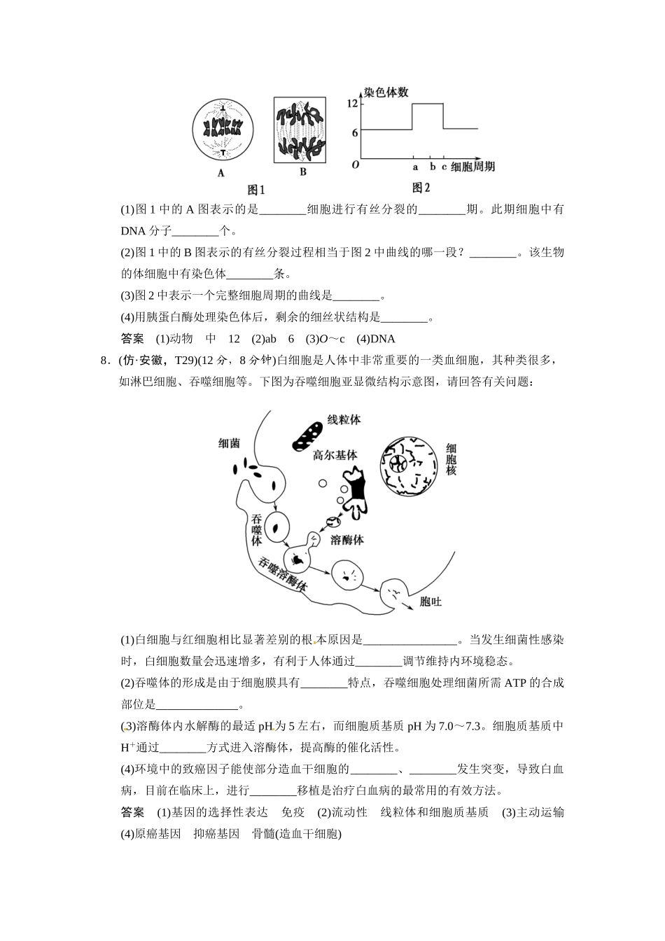 高考生物二轮 三级排查大提分训练 第5讲 细胞的生命历程（含试题，含详解）_第3页