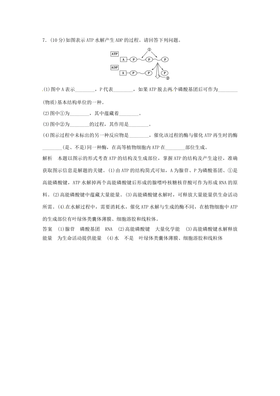 高中生物 3-1细胞与能量同步练习 浙科版必修1_第3页