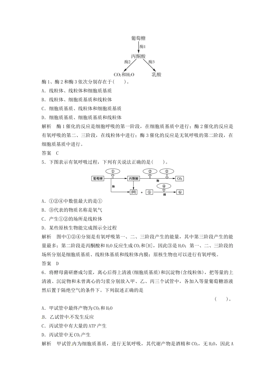 高中生物 3-2-4从化学能到生物能同步练习 中图版必修1_第2页