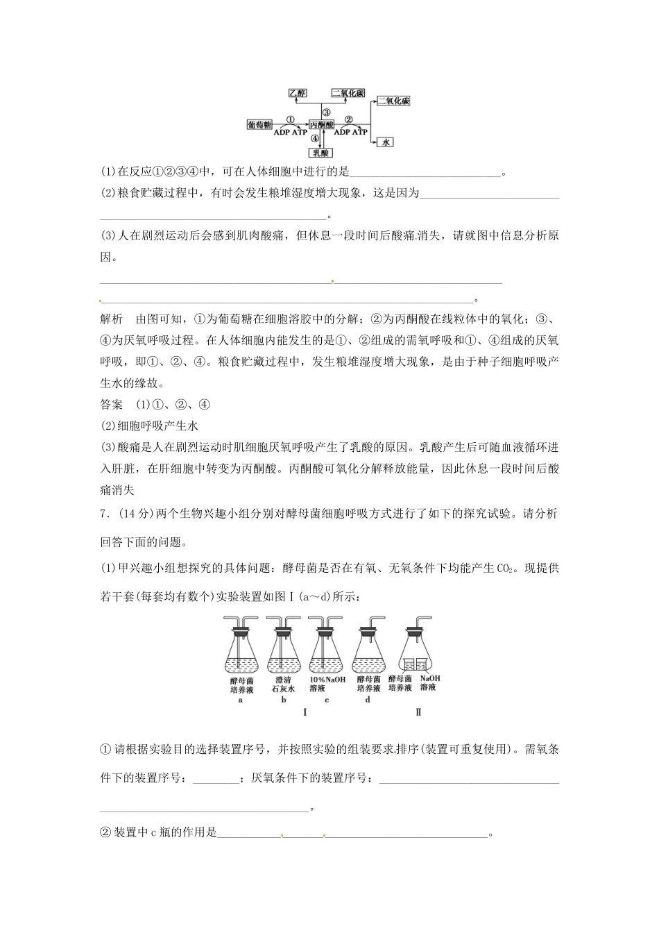 高中生物 3-4-1需氧呼吸和厌氧呼吸同步练习 浙科版必修1_第3页