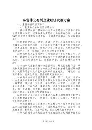 2024年私营非公有制企业经济发展方案