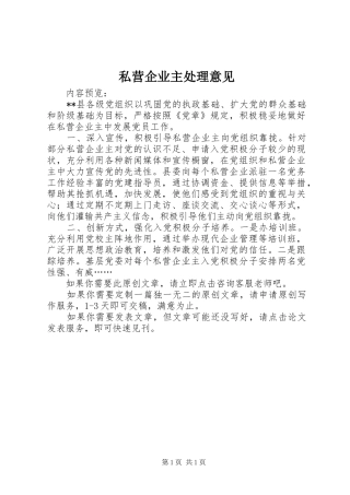 2024年私营企业主处理意见