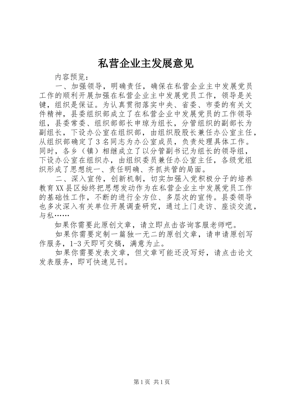 2024年私营企业主发展意见_第1页