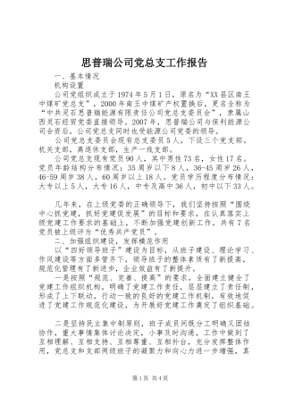 2024年思普瑞公司党总支工作报告