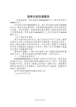 2024年送审计的自查报告