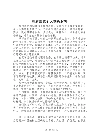 2024年肃清毒流个人剖析材料