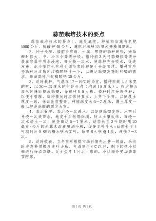 2024年蒜苗栽培技术的要点