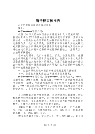 2024年所得税审核报告