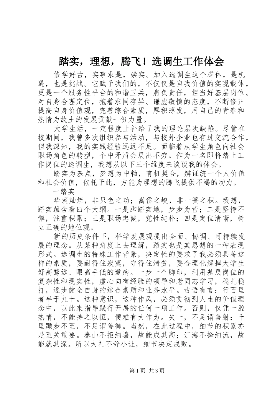 2024年踏实，理想，腾飞选调生工作体会_第1页
