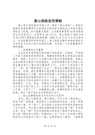 2024年泰山保险宣传策略