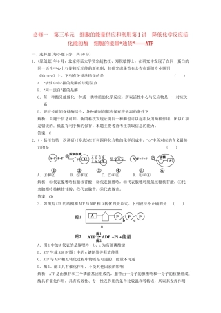 高考生物总复习 降低化学反应活化能的酶 细胞的能量“通货” ATP精品练习 必修1