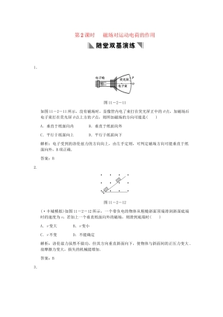 高考物理一轮复习 第2课时 磁场对运动电荷的作用练习 人教大纲版 