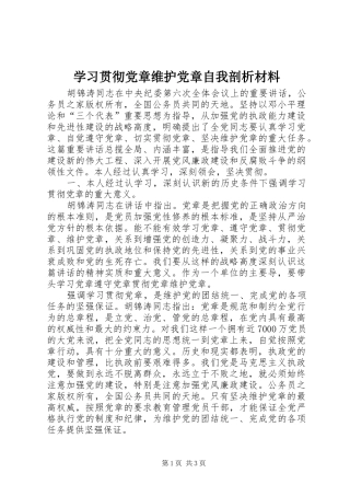 2024年学习贯彻党章维护党章自我剖析材料